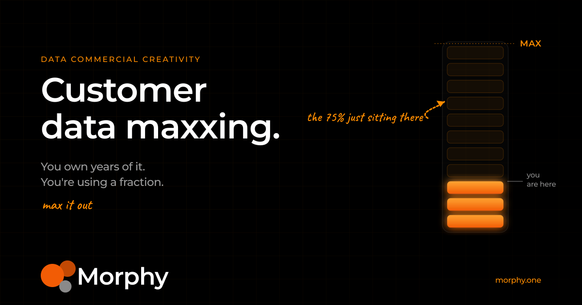Customer Data Maxxing